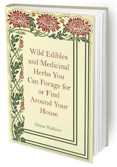 Wild Edibles Book Cover
